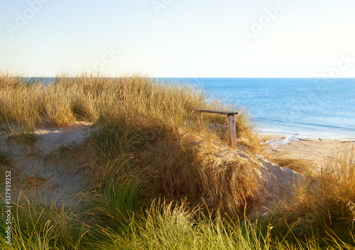 Fototapeta Naklejka Na Ścianę i Meble -  bench on the coastline