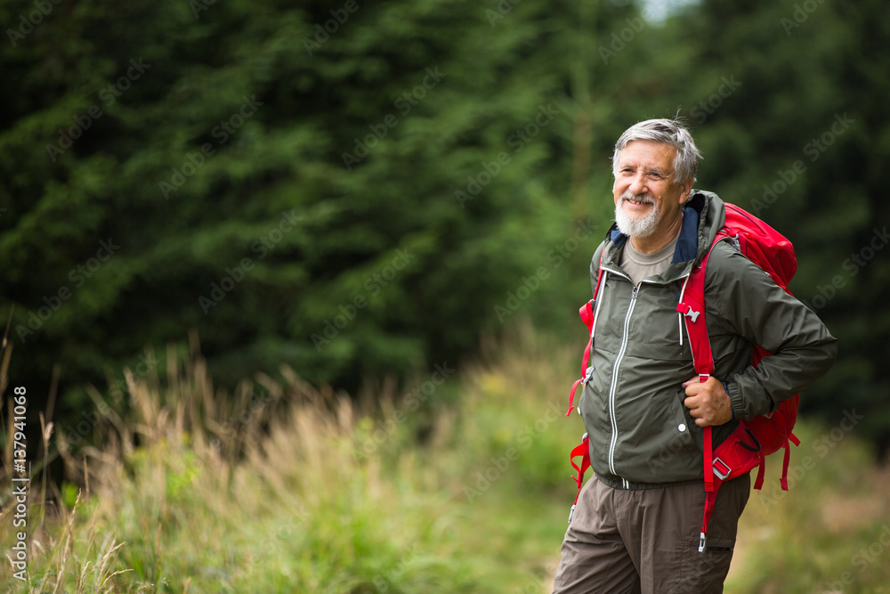 Fototapeta premium Active senior hiking in high mountains