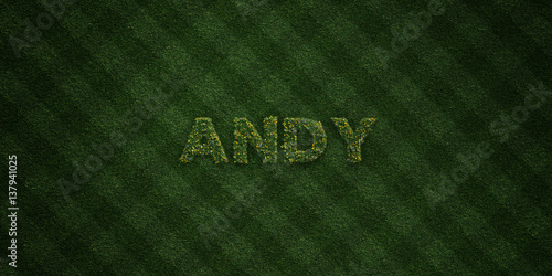 Photos ANDY - fresh Grass letters with flowers and dandelions - 3D rendered royalty free stock image