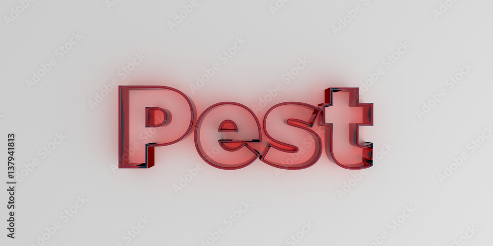 Pest - Red glass text on white background - 3D rendered royalty free stock image. Pest - Red glass text on white background - 3D rendered royalty free stock image.