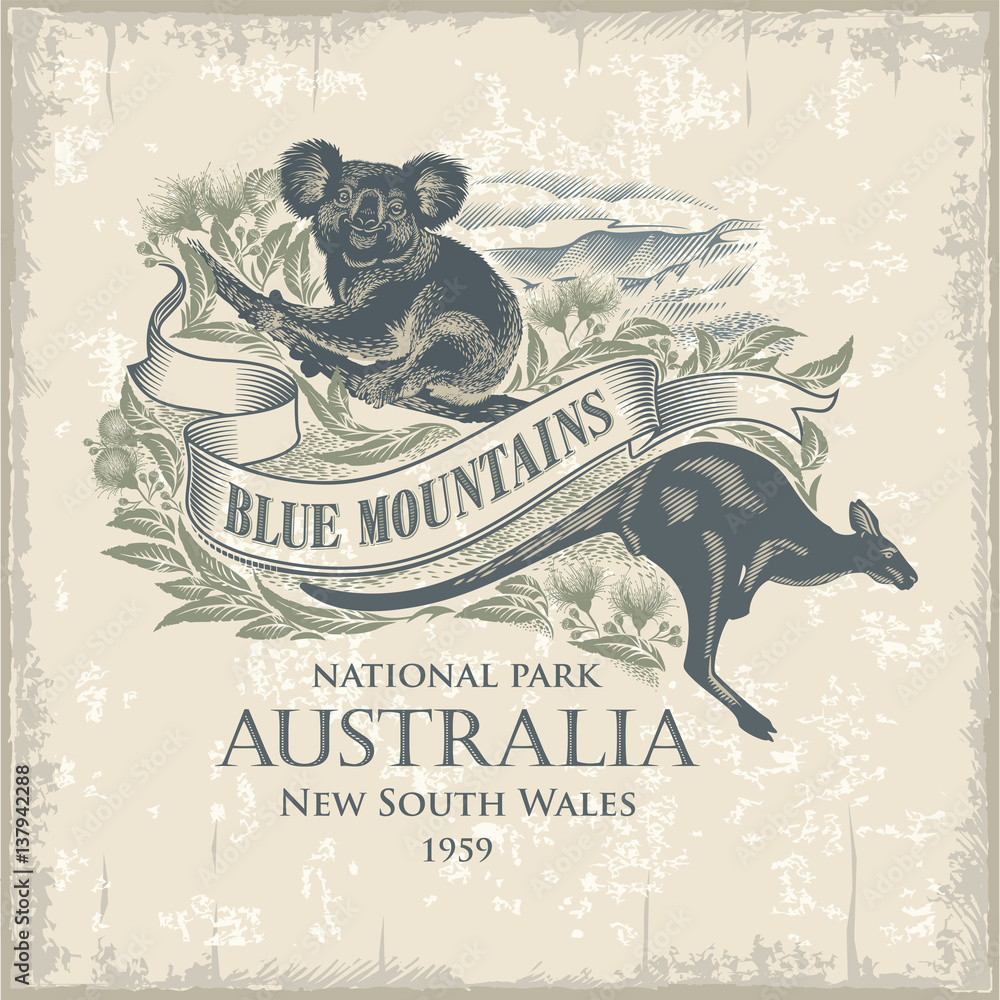 Obraz premium Koala, Kangur, Park Narodowy Blue Mountains, Australia, grawerowanie imitacji, vintage, ilustracja, wektor