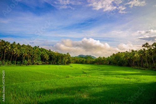 Scenic view of the countryside in Bohol Philippines © Overburn