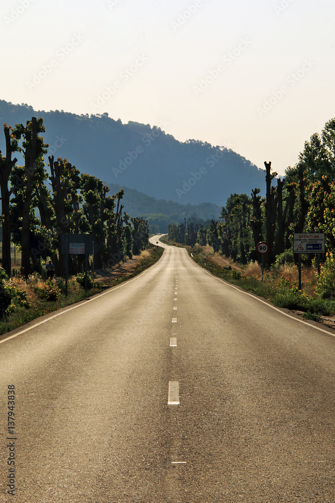 Fototapeta premium Road