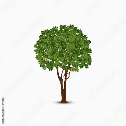 Abstract green vector tree on white background