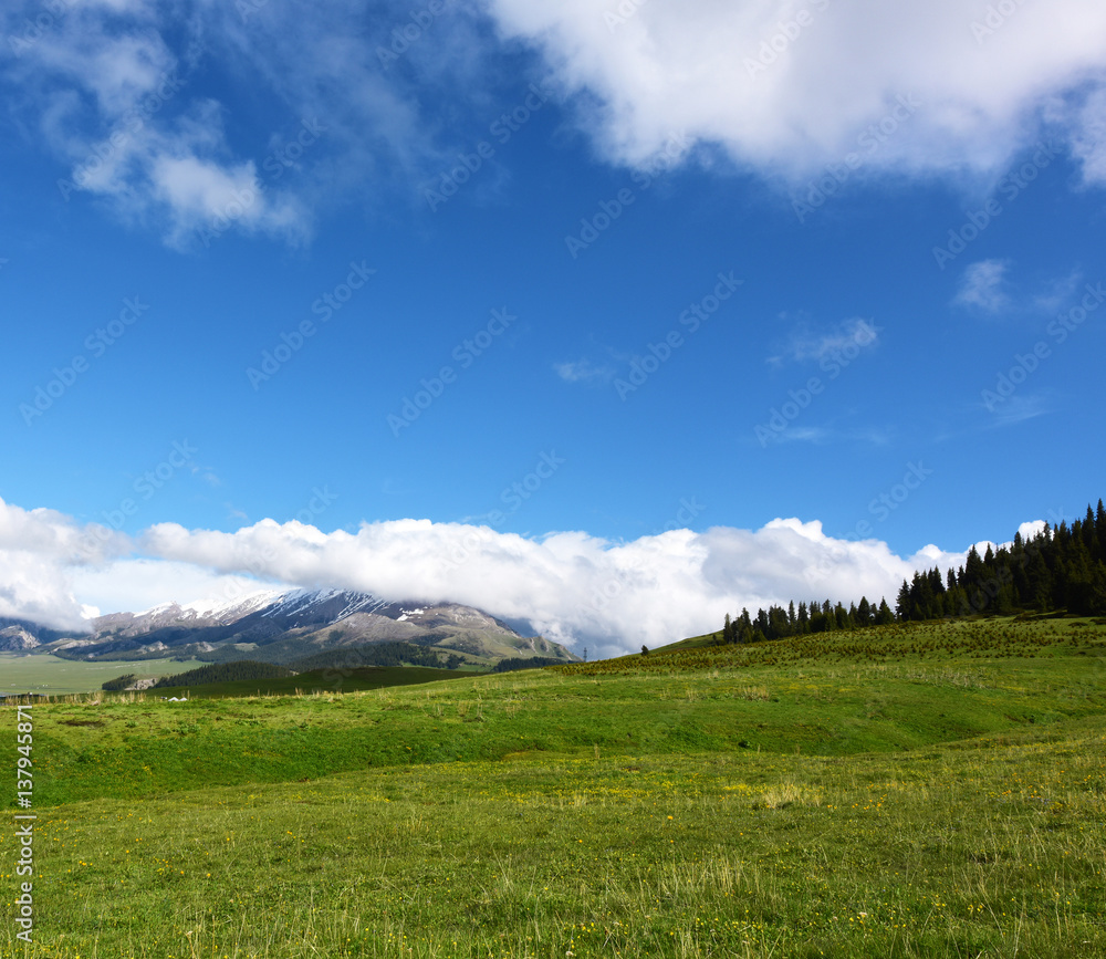 Grassland, mountains, white cloudsand white clouds