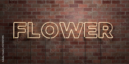 FLOWER - fluorescent Neon tube Sign on brickwork - Front view - 3D rendered royalty free stock picture. Can be used for online banner ads and direct mailers..
