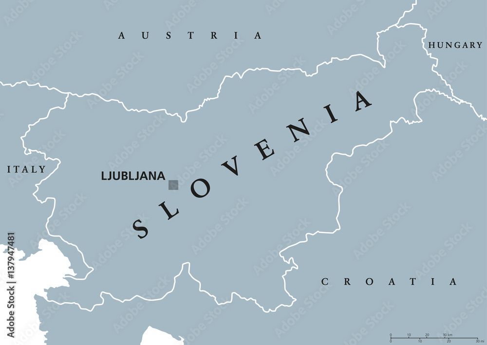 Obraz premium Slovenia political map with capital Ljubljana and neighbor countries. Republic, country and nation state in southern Central Europe. Gray illustration with English labeling on white background. Vector