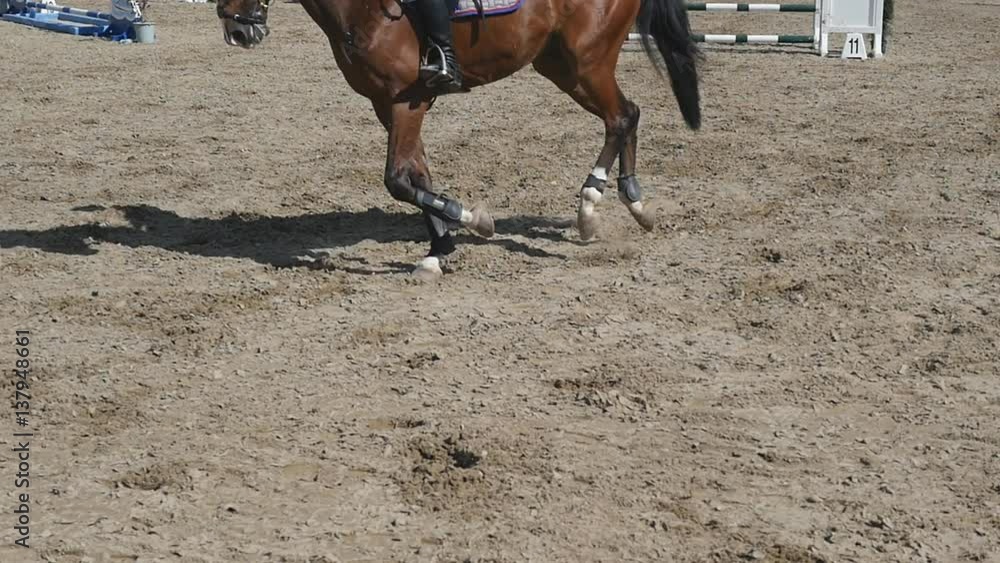 Foot of horse running on the sand. Close up of legs of stallion galloping on the wet muddy ground. Slow motion Foot of horse running on the sand. Close up of legs of stallion galloping on the wet muddy ground. Slow motion