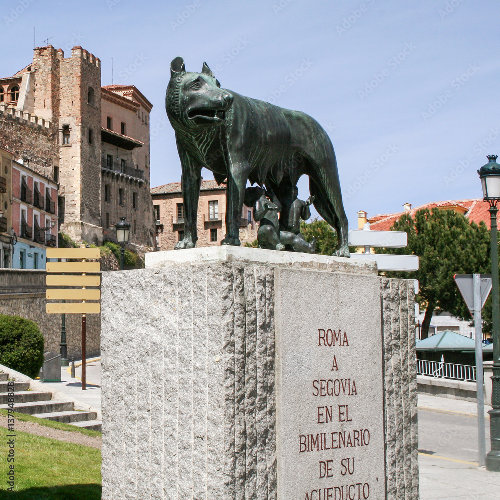 Obraz premium she-wolf