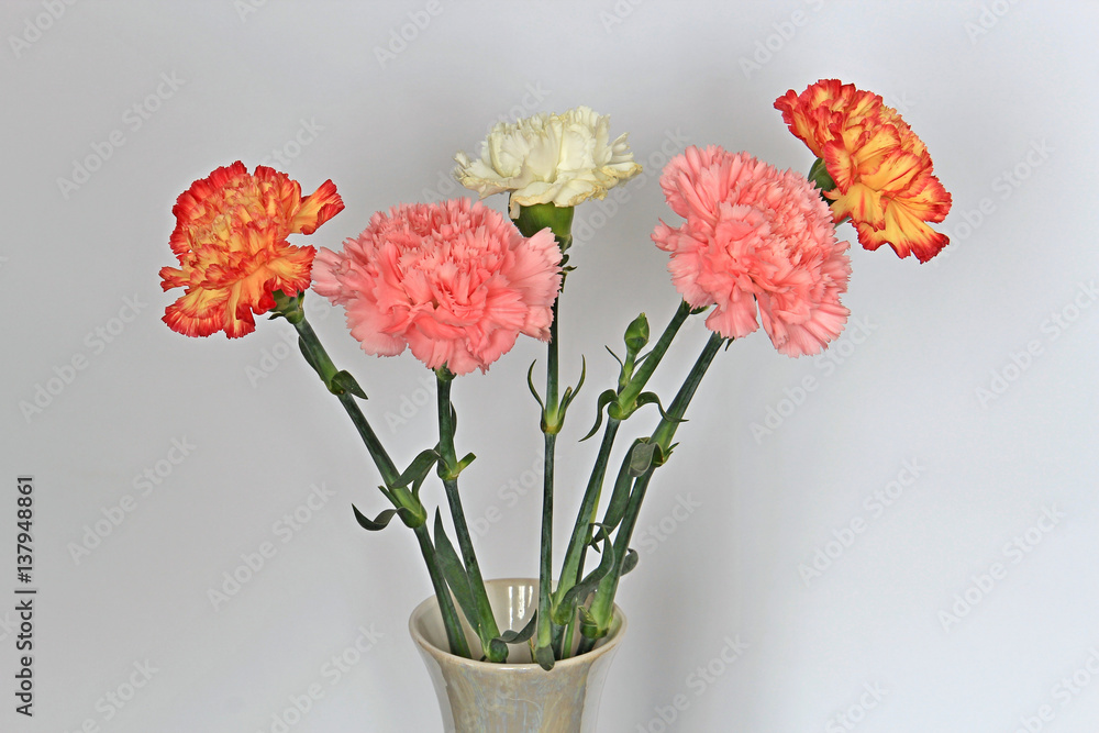 Fototapeta premium bouquet of carnations