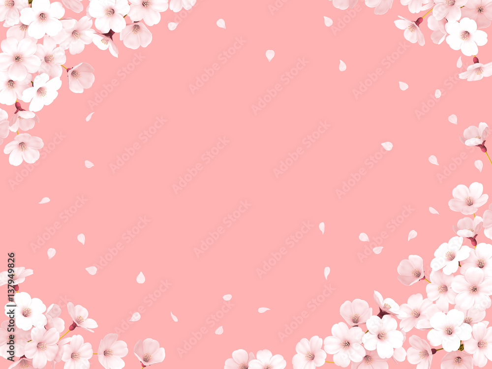 Obraz premium さくら花びらフラットピンクフレーム2