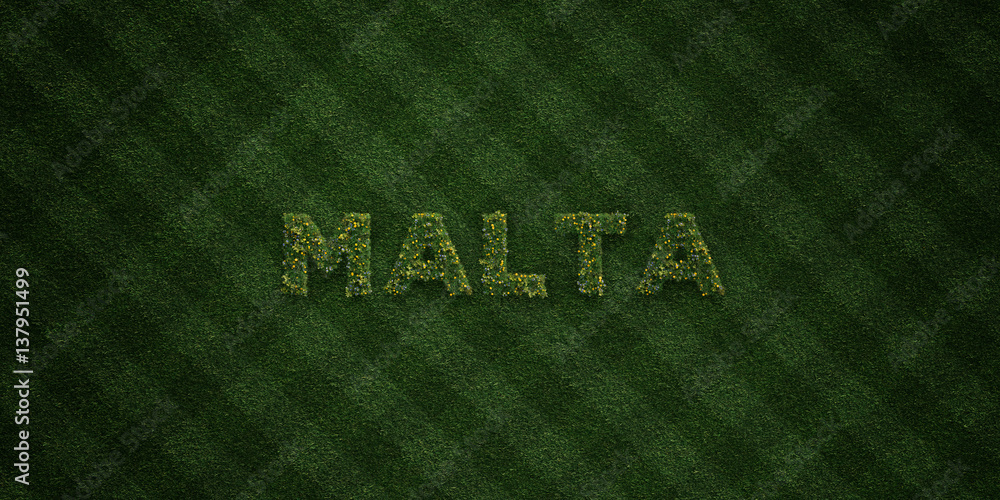 MALTA - fresh Grass letters with flowers and dandelions - 3D rendered royalty free stock image. Can be used for online banner ads and direct mailers.. MALTA - fresh Grass letters with flowers and dandelions - 3D rendered royalty free stock image. Can be used for online banner ads and direct mailers..