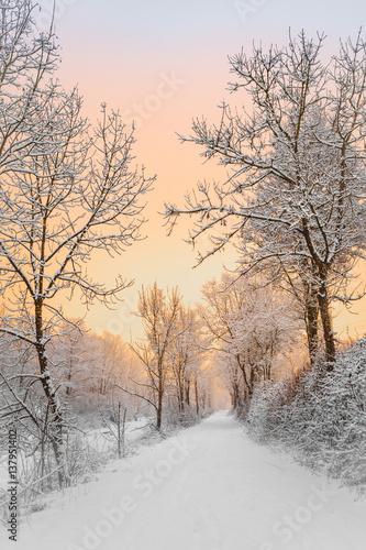 Winter weg © Alexander
