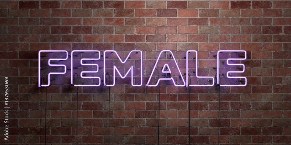 Obraz premium FEMALE - fluorescent Neon tube Sign on brickwork - Front view - 3D rendered royalty free stock picture. Can be used for online banner ads and direct mailers..