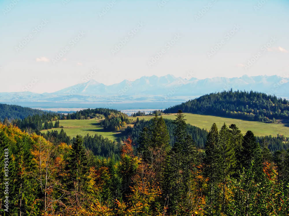 Fototapeta premium Landscape
