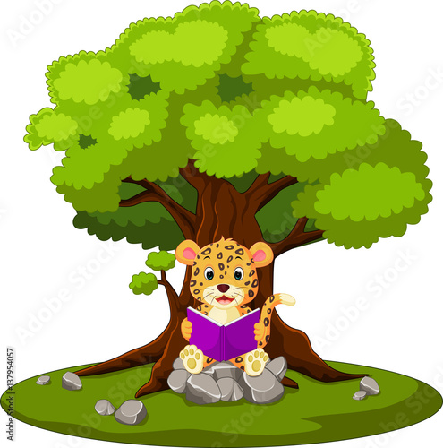 Fototapeta Naklejka Na Ścianę i Meble -  leopard reading book and sitting on the stone
