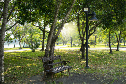 A bench under a tree and Lighting in the garden Park in Bangkok