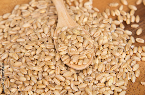 Wheat grain in wooden spoon on wooden background