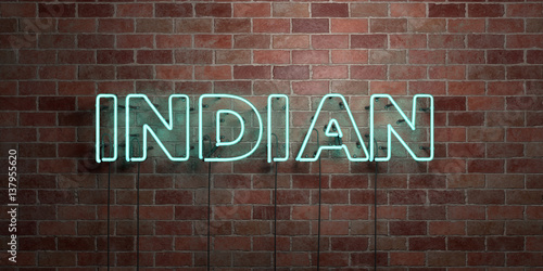 INDIAN - fluorescent Neon tube Sign on brickwork - Front view - 3D rendered royalty free stock picture. Can be used for online banner ads and direct mailers..