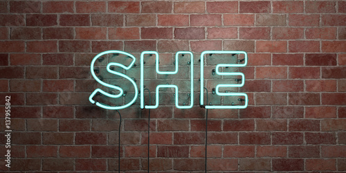 SHE - fluorescent Neon tube Sign on brickwork - Front view - 3D rendered royalty free stock picture. Can be used for online banner ads and direct mailers..