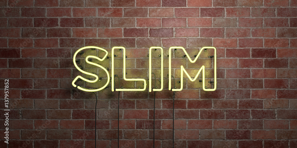 Fototapeta premium SLIM - fluorescent Neon tube Sign on brickwork - Front view - 3D rendered royalty free stock picture. Can be used for online banner ads and direct mailers..