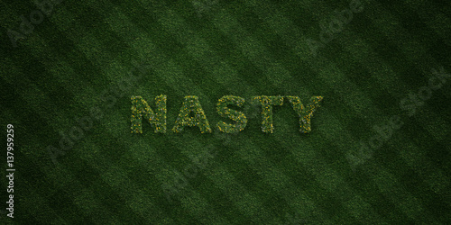 NASTY - fresh Grass letters with flowers and dandelions - 3D rendered royalty free stock image. Can be used for online banner ads and direct mailers..