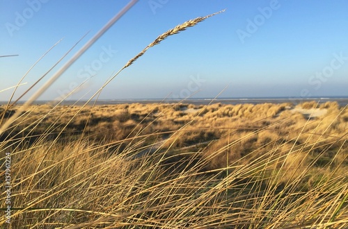 Borkum