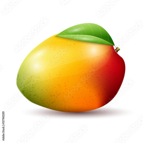 Mango on white background