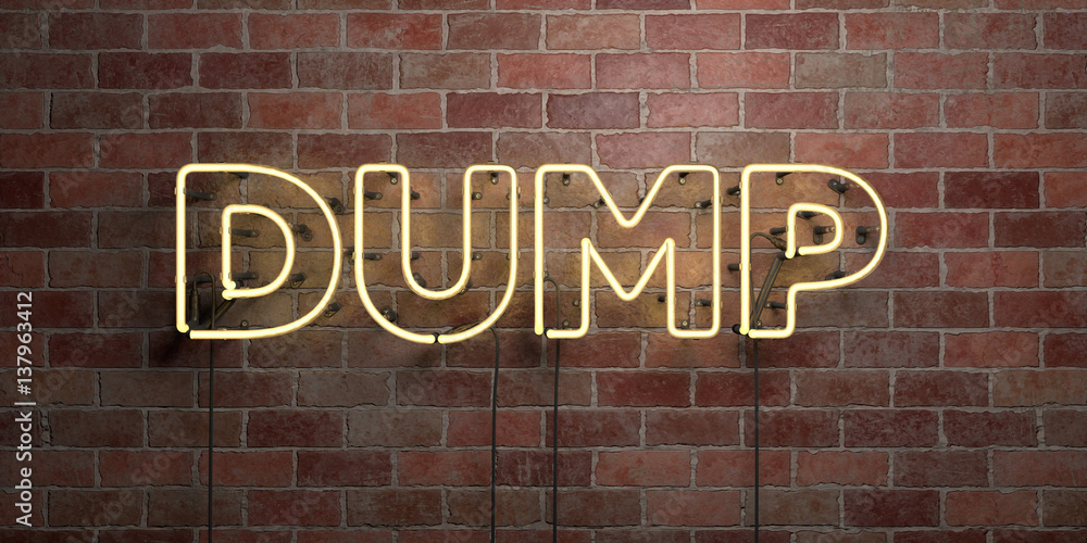 Fototapeta premium DUMP - fluorescent Neon tube Sign on brickwork - Front view - 3D rendered royalty free stock picture. Can be used for online banner ads and direct mailers..