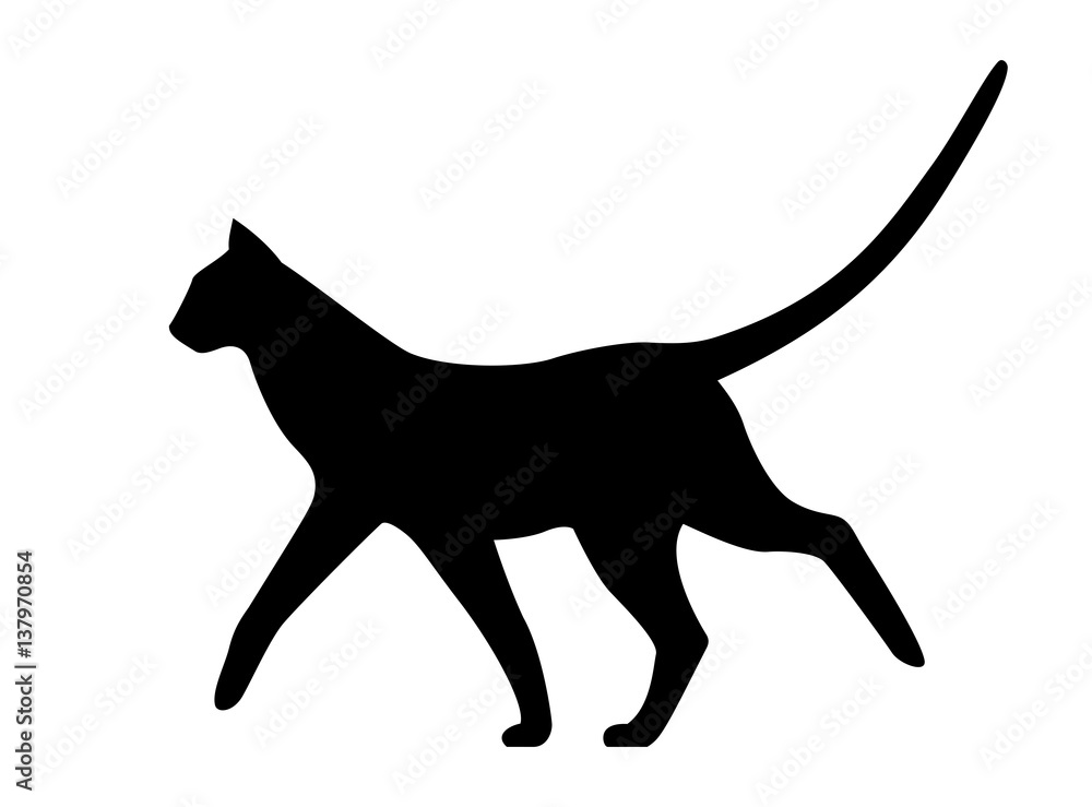 Walking cat, black vector silhouette on white background.