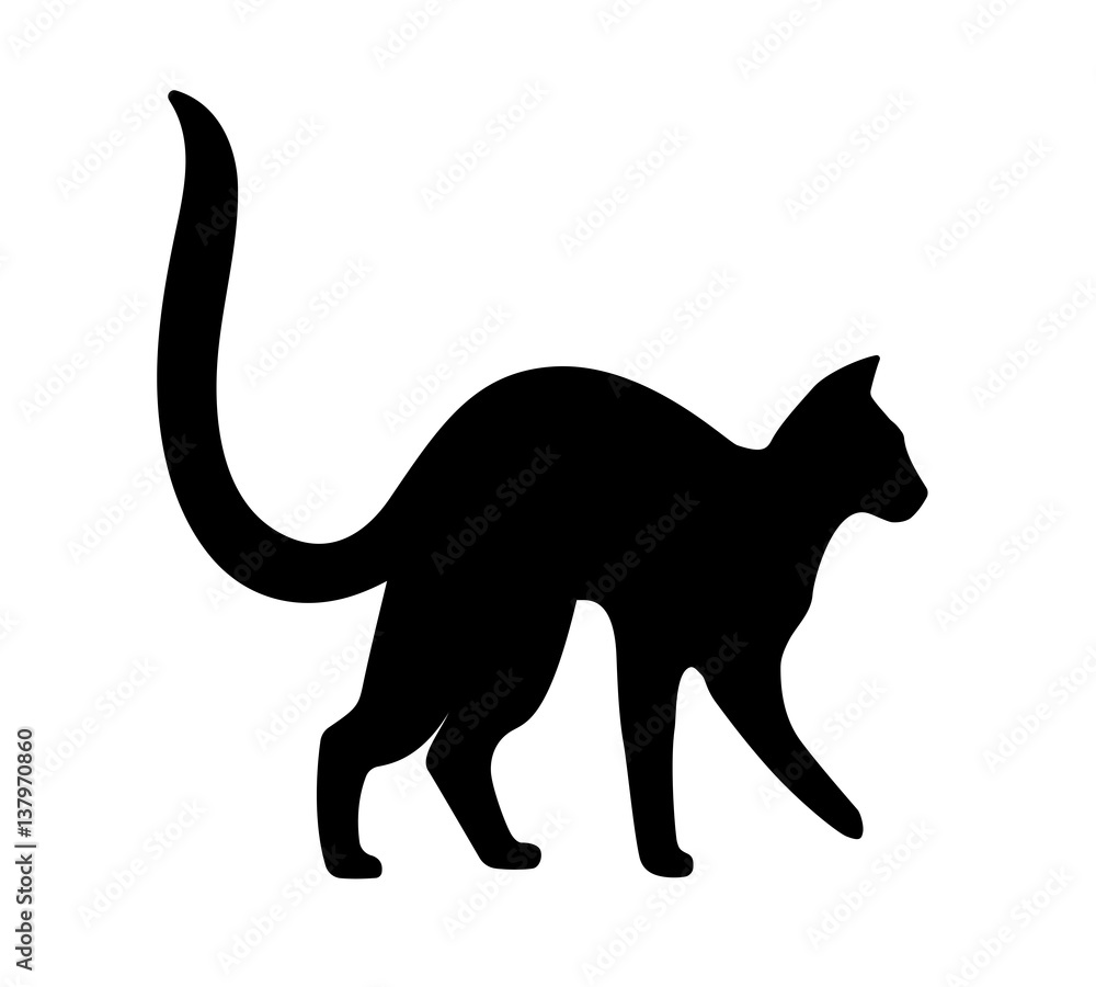 Cat arching its back. Black silhouette on white background. Vector isolated.