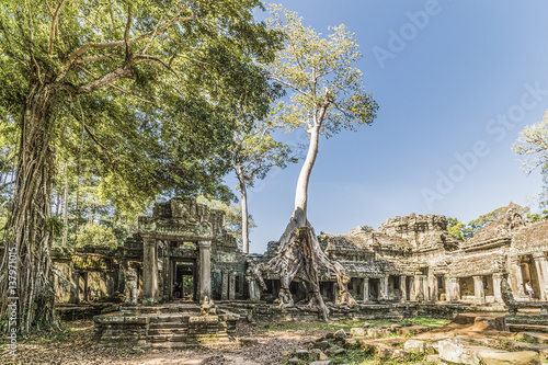 Rovine del tempio di Angkor Wat