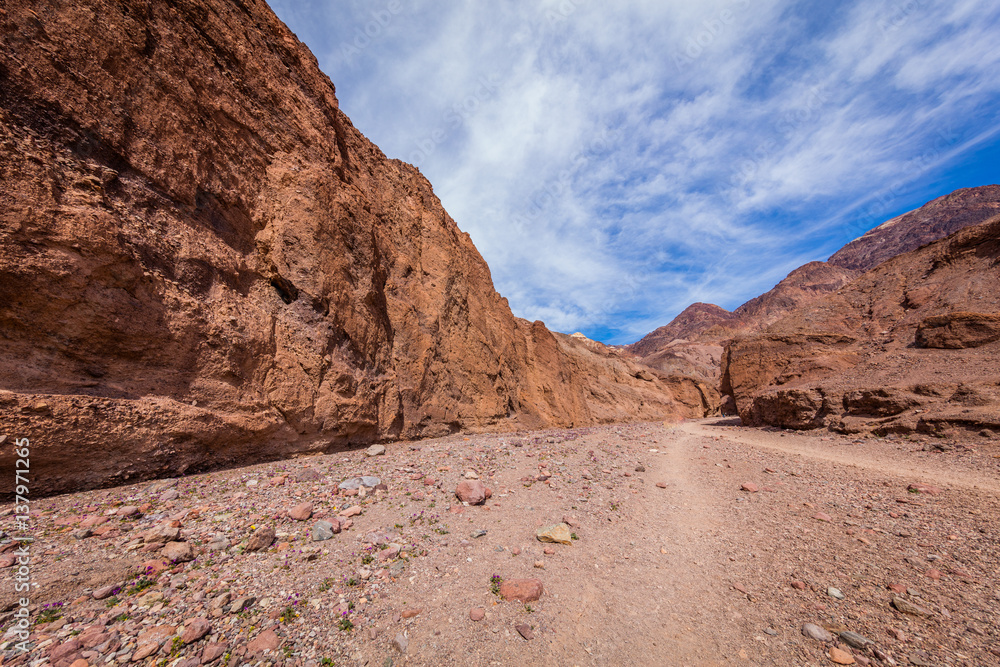 Fototapeta premium Narrow canyon with vertical walls on both sides. Rocky landscape background. Natural bridge canyon trail, Death Valley National Park, California