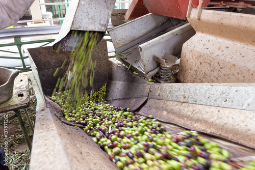 Olive mill in Andalusia, Spain