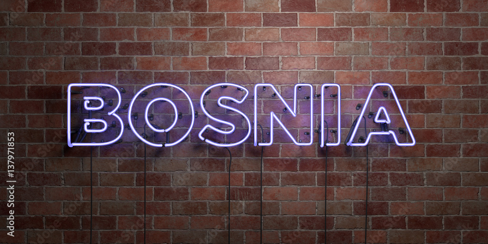 Obraz premium BOSNIA - fluorescent Neon tube Sign on brickwork - Front view - 3D rendered royalty free stock picture. Can be used for online banner ads and direct mailers..