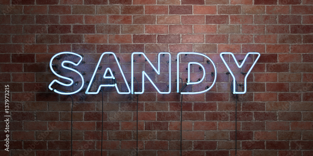 Fototapeta premium SANDY - fluorescent Neon tube Sign on brickwork - Front view - 3D rendered royalty free stock picture. Can be used for online banner ads and direct mailers..