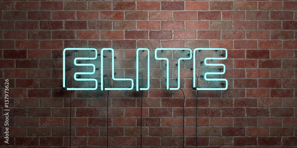 Fototapeta premium ELITE - fluorescent Neon tube Sign on brickwork - Front view - 3D rendered royalty free stock picture. Can be used for online banner ads and direct mailers..