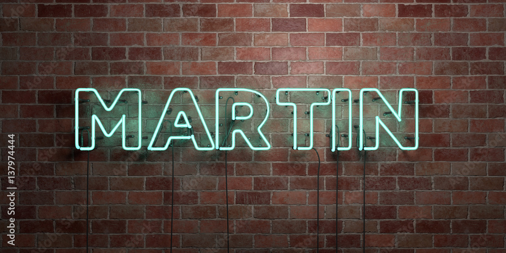 Fototapeta premium MARTIN - fluorescent Neon tube Sign on brickwork - Front view - 3D rendered royalty free stock picture. Can be used for online banner ads and direct mailers..