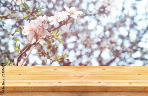 wooden table in front of cherry tree © tomertu