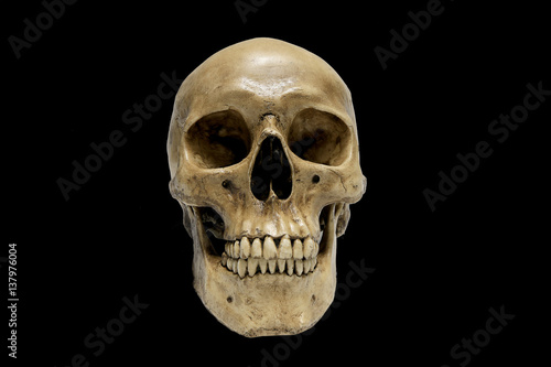 Human Skull isolated on black background.