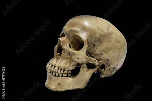 Human Skull isolated on black background.