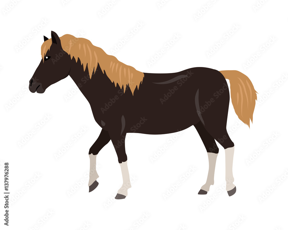Obraz premium Horse Vector Illustration in Flat Design