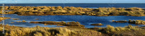 Graslandschaft an der schottischen K  ste