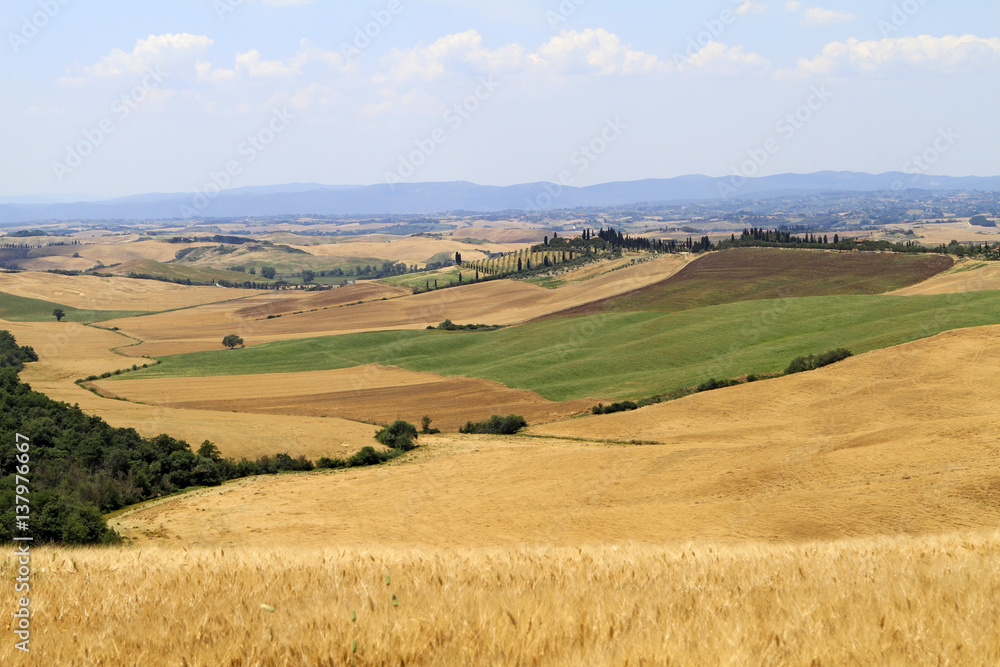 Typical landscape of Tuscany at Crete Senesi, Italy, Europe