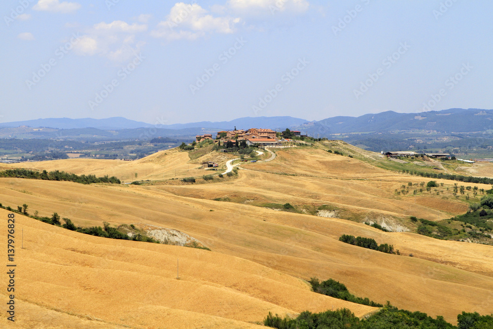 Typical landscape of Tuscany at Crete Senesi, Italy, Europe Typical landscape of Tuscany at Crete Senesi, Italy, Europe