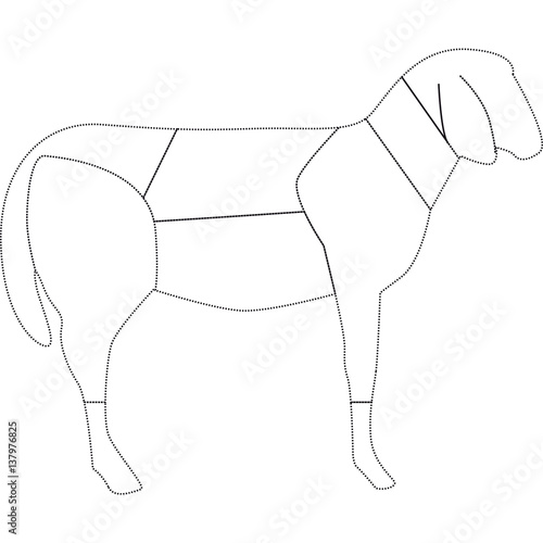 tagli agnello