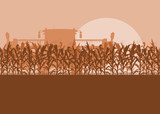 Corn field with harvester evening or morning light landscape vector