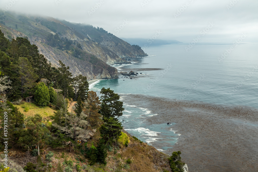 Pacific Coast Highway View