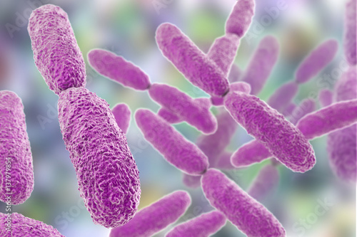 Bacteria Klebsiella, 3D illustration. Gram-negative rod-shaped bacteria which are often nosocomial antibiotic resistant photo