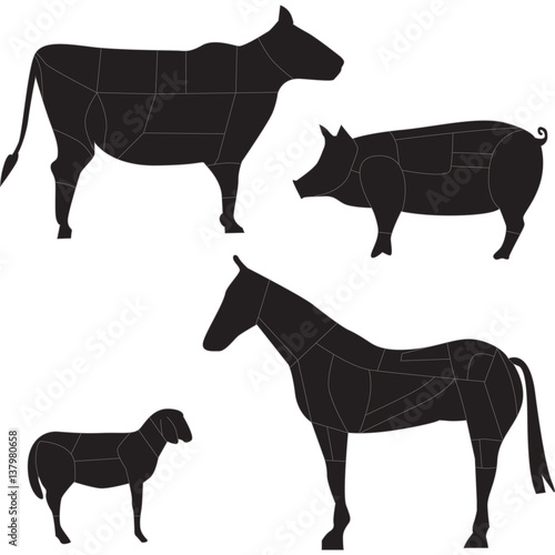 tagli di carne
